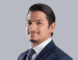 Agent Syed Saad