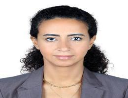 العميل Zeinab Abdullah Mohamed Attia Almassri