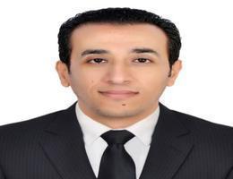 Agent Mina Sadek