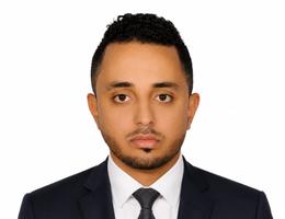 Agent walid elgamal