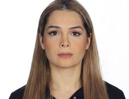 Agent Tala Ahmad Talaeipour