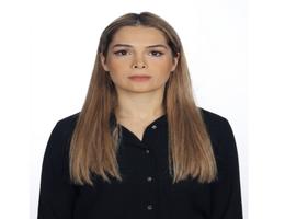Agent Tala Ahmad Talaeipour