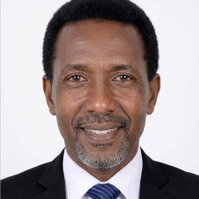 Agent Ali Montasr