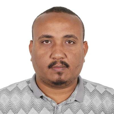 Agent Mohamed Sharawny
