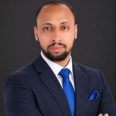 Agent Mahmoud Goda