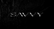 SAVVY HOMES REAL ESTATE L.L.C logo image