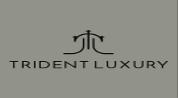 Trident Luxury Real Estate L.L.C logo image