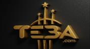 TIBA.COM REAL ESTATE logo image