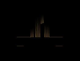 SKYWARD REAL ESTATE - L.L.C