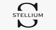 STELLIUM STAR REAL ESTATE L.L.C logo image STELLIUM STAR REAL ESTATE L.L.C logo image