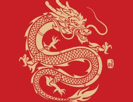 ORIENTAL DRAGON REAL ESTATE L.L.C ORIENTAL DRAGON REAL ESTATE L.L.C