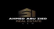 ABZ Real Estate logo image