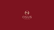 OSUS REAL ESTATE BROKERAGE L.L.C logo image