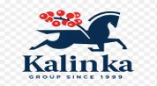 KALINKA KULM EXCLUSIVE PROPERTIES BROKER - L.L.C - S.P.C logo image