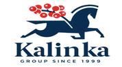 KALINKA KULM EXCLUSIVE PROPERTIES BROKER - L.L.C - S.P.C logo image