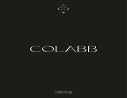 COLABB REAL ESTATE L.L.C COLABB REAL ESTATE L.L.C