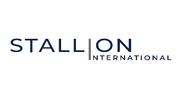 STALLION INTERNATIONAL REAL ESTATE L.L.C logo image