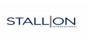 STALLION INTERNATIONAL REAL ESTATE L.L.C logo image