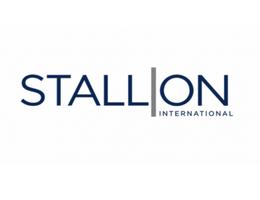 STALLION INTERNATIONAL REAL ESTATE L.L.C logo image