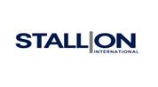 STALLION INTERNATIONAL REAL ESTATE L.L.C logo image