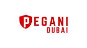 PEGANI REAL ESTATE L.L.C logo image