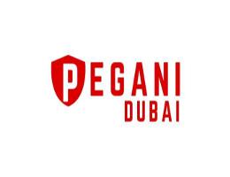 PEGANI REAL ESTATE L.L.C