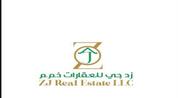 ZJ Real estate LLC logo image