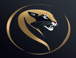 MOUNTAIN LION REAL ESTATE BROKER - L.L.C - O.P.C