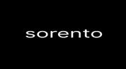 SORENTO REAL ESTATE L.L.C logo image