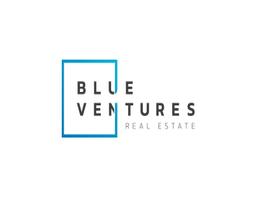 BLUE VENTURES REAL ESTATE L.L.C