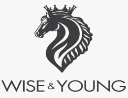 WISE & YOUNG REAL ESTATE L.L.C