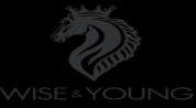 WISE & YOUNG REAL ESTATE L.L.C logo image