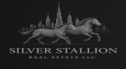SILVER STALLION REAL ESTATE L.L.C logo image