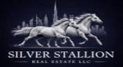 SILVER STALLION REAL ESTATE L.L.C logo image