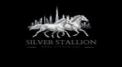 SILVER STALLION REAL ESTATE L.L.C logo image