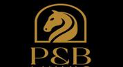 PNB LIVING Holiday Homes L.L.C logo image