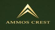 AMMOS CREST REAL ESTATE L.L.C logo image