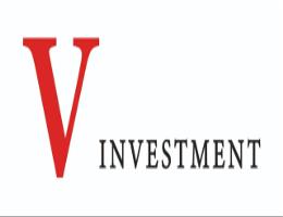 VANGUARD INVESTMENT - L.L.C