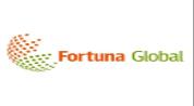 FORTUNA GLOBAL REAL ESTATE logo image