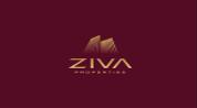 ZIVA PROPERTIES L.L.C logo image