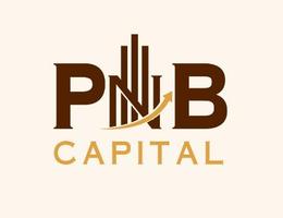 PNB CAPITAL REAL ESTATE L.L.C PNB CAPITAL REAL ESTATE L.L.C
