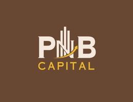 PNB CAPITAL REAL ESTATE L.L.C