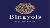 BINGYOLS INTERNATIONAL REALTY L.L.C logo image