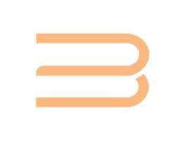 BEACON CAPITAL REAL ESTATE L.L.C BEACON CAPITAL REAL ESTATE L.L.C