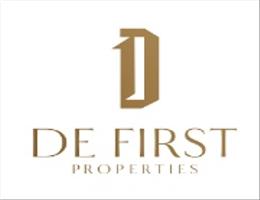 DE FIRST LUXURY PROPERTIES L.L.C DE FIRST LUXURY PROPERTIES L.L.C