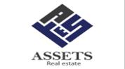 Assets Real Estate logo image