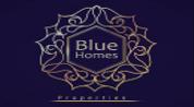 Blue Homes Properties logo image