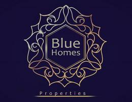 Blue Homes Properties