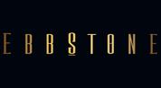 EBB Stone Real Estate logo image