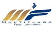 Multiflags Real Estate logo image